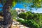 Acropolis with Parthenon. View through a frame of green plants and trees, Athens.