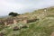 Acropolis of Pergamon in Turkey