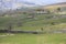 Across The Fields To Dry Rigg Quarry