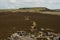 Across Hathersage Booths towards Stanage Edge