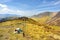 Across Knott Rigg to the Buttermere Fell