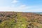 Across the top of a heather covered Birchen Edge