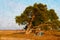 Acryl paintings group stop a picnic under old pine tree