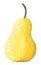 Acrylic illustration of pear