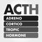 ACTH - Adrenocorticotropic hormone acronym