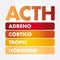 ACTH - Adrenocorticotropic hormone acronym