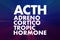 ACTH - Adrenocorticotropic hormone acronym, medical concept background