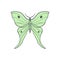 Actias Selene butterfly, luna moon moth. Hand drawn illustration