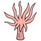 Actinia. Sea anemone. Sea animal in the form of a flower. Aquatic invertebrate animal. Vector illustration. Coral polyp. Cartoon