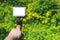 Action camera mockup in a man's hand. Against the background of yellow daisies in the garden