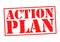 ACTION PLAN