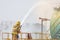 Action professional fireman in yellow fire fighter uniform holding fire hose nozzle spraying foam water control fighting