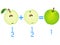 Action relationship of addition halves, examples with apples. Educational game for children.