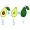 Action relationship of addition halves, examples with avocado. Educational game for children.