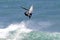 Action Sports Windsurfing