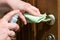 Actions to prevent the spread of COVID-19 coronavirus, door handle disinfection. Closeup of the hand wipes the door handle with a