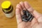 Activated vegetable charcoal capsules in a hand