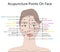 Active acupuncture points on the face,Vector Illustration