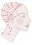 Active acupuncture points on the profile template on the back of the head. Girl with shaved bald hairless head and a beautiful