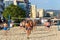 Active adults play the sport of volleyball on the sand beach