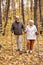 active aged couple walking with Nordic poles while enjoying hike in autumn forest