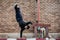 An active Asian male hip-hop breakdancer is dancing on the street in the city, standing on one hand