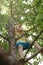 Active, brave toddler climbed high on tree and looks around. Happy childhood. Outdoor games for children in summer