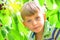 An active and cheerful boy collects and eats cherries on a tree.