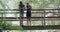 Active couple resting on a bridge after exercising together outdoors in nature. Fit athletes taking a break and using a