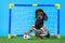 Active dachshund dog in goalkeeper uniform and cap successfully protects football gate for kids, soccer ball flies