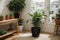 Active enjoying planting. planting flowers. plant care at home. Portrait Of Happy Arranging Potted Plants. With Green Plants and F