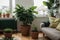 Active enjoying planting. planting flowers. plant care at home. Portrait Of Happy Arranging Potted Plants. With Green Plants and F