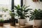 Active enjoying planting. planting flowers. plant care at home. Portrait Of Happy Arranging Potted Plants. With Green Plants and F