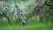 Active family parents with boy and girl play with ball in spring blooming garden