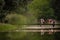 Active Females Exercising on Beautiful Park Bridge for Fitness and Strengthening