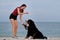 Active friendly family dog breed Bernese Mountain Dog is on vacation on beach. Caucasian red haired girl is standing in swimsuit