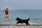 Active friendly family dog breed on vacation on beach. Young pretty Caucasian red haired girl runs along pebble beach in swimsuit