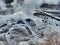 An active geyser close up at Geysers del Tatio field near San Pedro de Atacama in Chile