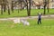 Active girl launches kites in the park while walking in the fresh air.