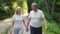 Active lifestyle for senior spouses. Happy mature couple walking together in public park holding hands