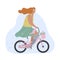 Active modern romantic girl with leg prosthesis on pink bike with flowers in basket. Modern flat illustration side view. Summer