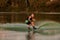 active muscular man holds rope and skilfully balancing on water on wakeboard