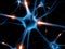 Active neurone