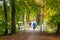 Active people riding bicycles in woods in autumn, Netherlands