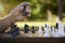 Active retired people, senior man playing chess at park