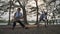 Active senior couple exercise and stretching at park in sunset