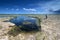 Active senior explores and photographs solution holes in Everglades.