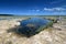 Active senior explores and photographs solution holes in Everglades.