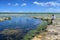 Active senior explores and photographs solution holes in Everglades.