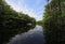 Active senior kayaking on Fisheating Creek, Florida.